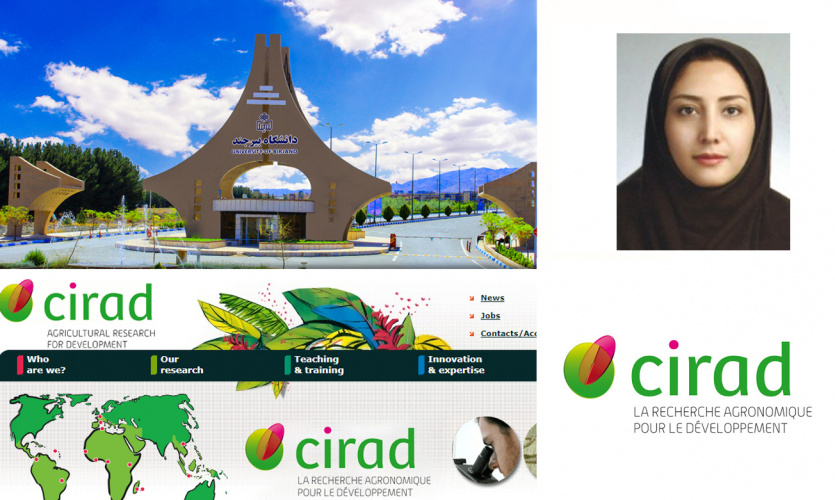 معرفی طرح پژوهشی عضو هیأت علمی دانشگاه بیرجند به عنوان طرح برتر مرکز تحقیقات کشاورزی توسعه بین الملل فرانسه (CIRAD)